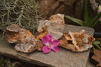 Natural Golden Limonite Quartz Clusters  x 3 From Zambia - TopRock