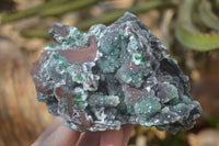 Natural Drusy Coated Ball Malachite On Dolomite Specimens x 2 From Likasi, Congo - Toprock Gemstones and Minerals 