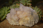 Natural Pale Lilac Spirit Quartz Clusters x 3 From Boekenhouthoek, South Africa - Toprock Gemstones and Minerals 