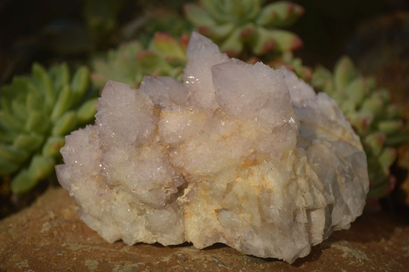 Natural Pale Lilac Spirit Quartz Clusters x 3 From Boekenhouthoek, South Africa - Toprock Gemstones and Minerals 