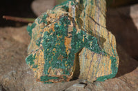 Natural Micro Botryoidal Crystalline Malachite Specimens  x 2 From Congo - Toprock Gemstones and Minerals 