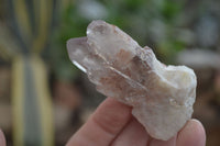 Natural Red Hematoid Quartz Specimens x 12 From Karoi, Zimbabwe - Toprock Gemstones and Minerals 