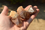 Natural Single Red Hematoid Phantom Quartz Crystals  x 35 From Karoi, Zimbabwe - TopRock