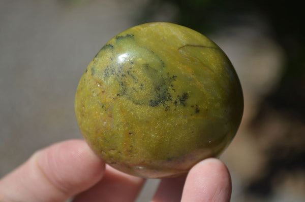 Polished Green Opal Palm Stones  x 12 From Madagascar