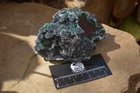 Natural Drusy Coated Ball Malachite On Dolomite Specimens x 2 From Likasi, Congo - Toprock Gemstones and Minerals 