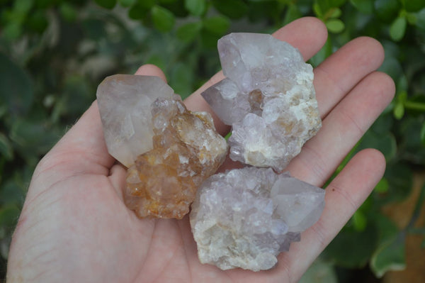 Natural Small Spirit Ametrine Quartz Clusters  x 12 From Boekenhouthoek, South Africa - Toprock Gemstones and Minerals 
