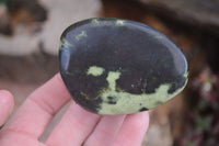 Polished Spotted Leopard Stone Free Forms  x 4 From Zimbabwe - Toprock Gemstones and Minerals 