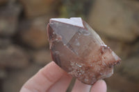 Natural Red Hematoid Quartz Specimens x 12 From Karoi, Zimbabwe - Toprock Gemstones and Minerals 