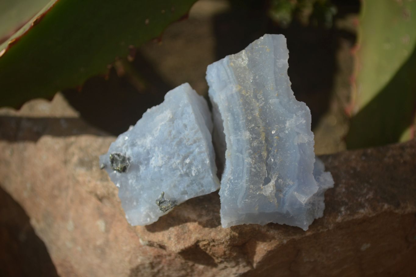 Natural Etched Blue Chalcedony Specimens x 35 From Nsanje, Malawi - Toprock Gemstones and Minerals 