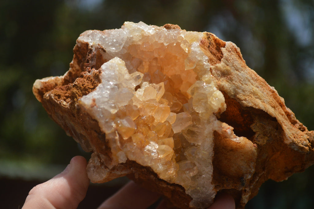 Natural Golden Limonite Quartz Clusters  x 3 From Zambia - TopRock