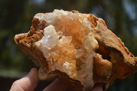 Natural Golden Limonite Quartz Clusters  x 3 From Zambia - TopRock