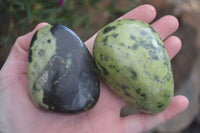 Polished Spotted Leopard Stone Free Forms  x 4 From Zimbabwe - Toprock Gemstones and Minerals 