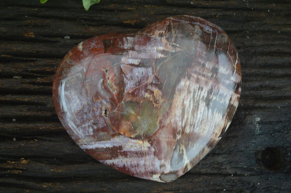 Polished Extra Large Petrified Red Podocarpus Wood Heart  x 1 From Mahajanga, Madagascar