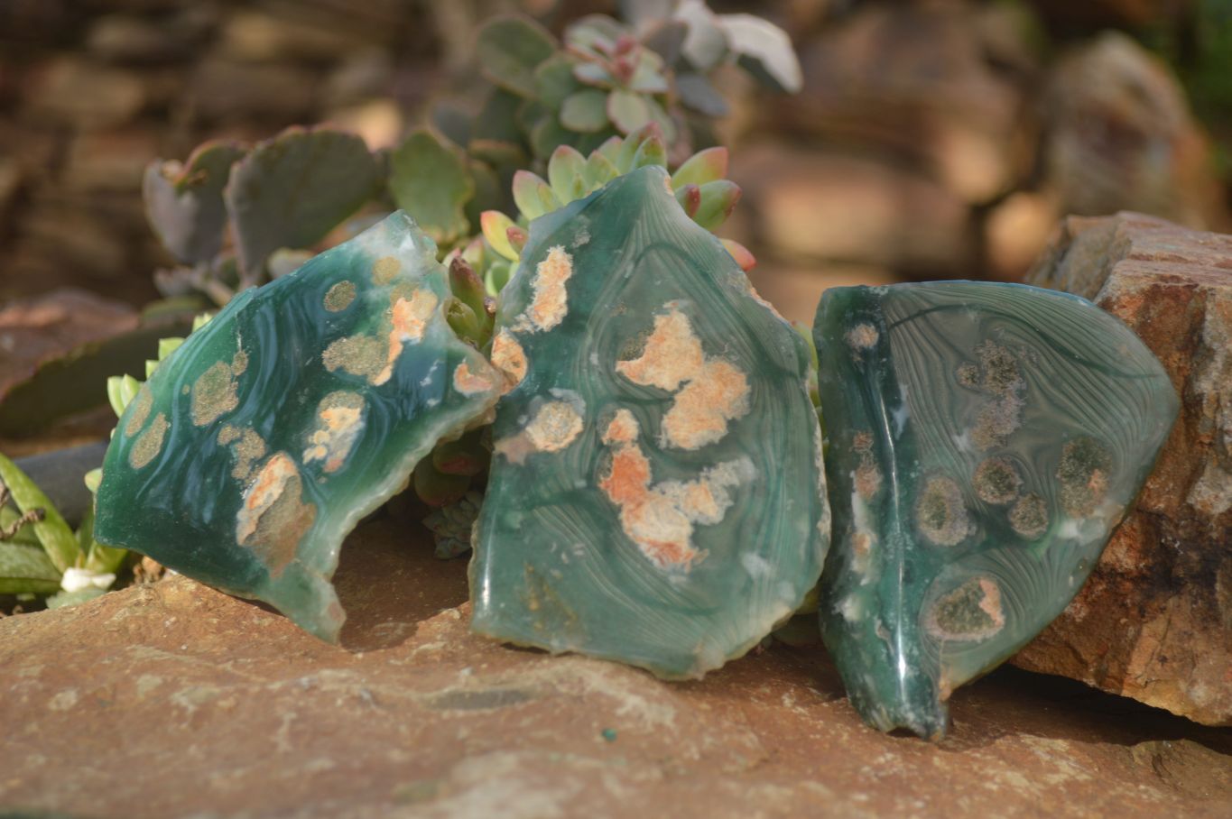 Polished On One Side Emerald Mtorolite Plates x 6 From Mutorashanga, Zimbabwe - Toprock Gemstones and Minerals 