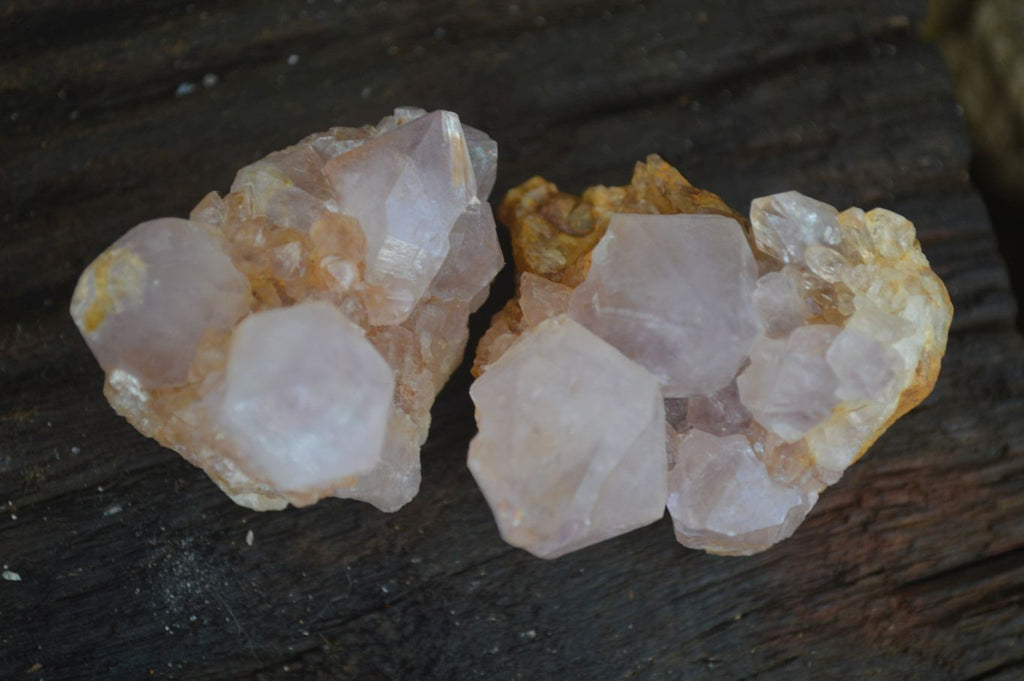 Natural Small Spirit Ametrine Quartz Clusters  x 12 From Boekenhouthoek, South Africa - Toprock Gemstones and Minerals 