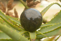 Polished Rare Sparkling Blue Water (Iolite) Sapphire Spheres  x 6 From Madagascar - TopRock