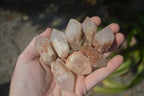Natural Pineapple Candle Quartz Crystals  x 35 From Antsirabe, Madagascar - Toprock Gemstones and Minerals 