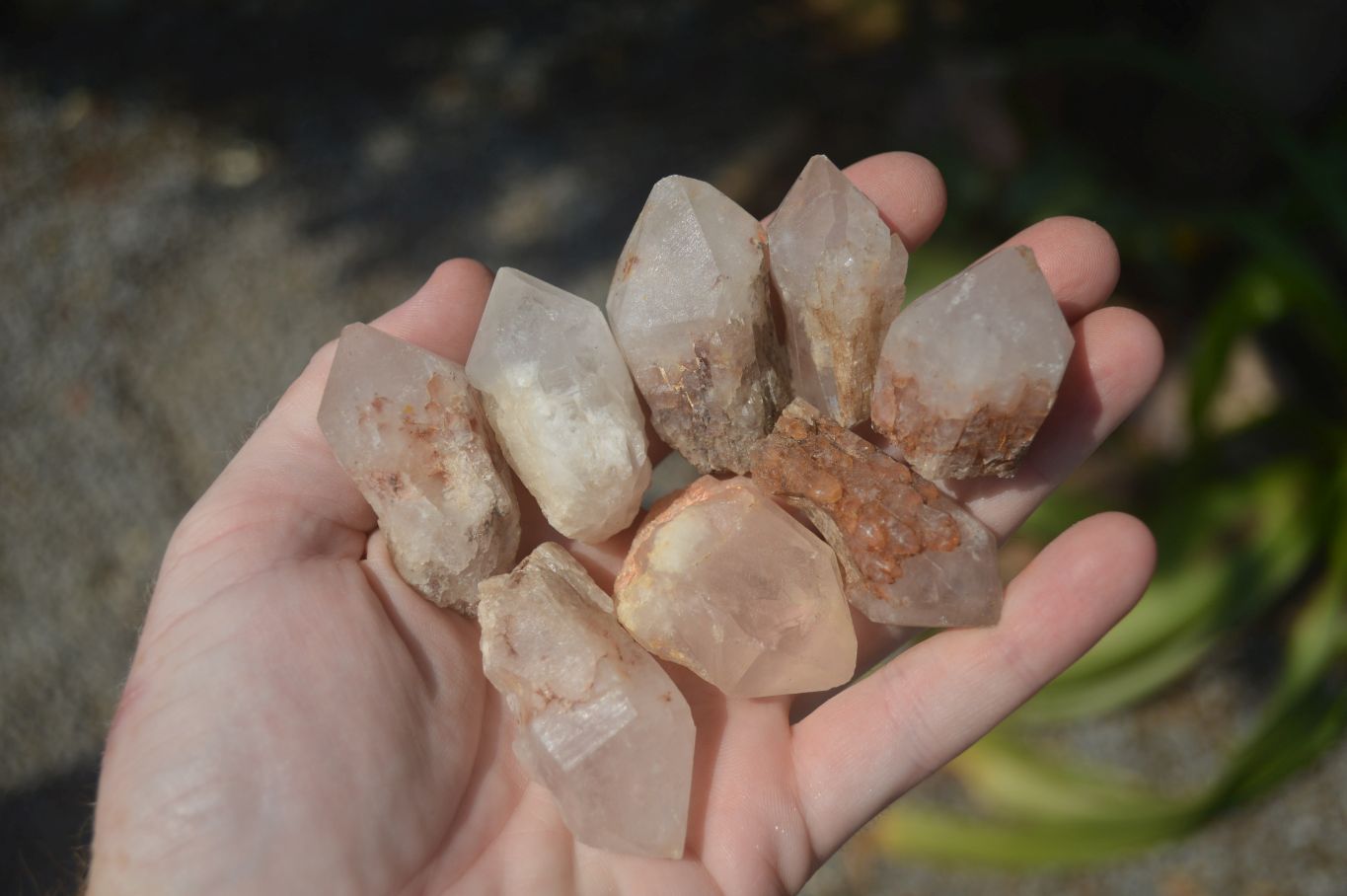 Natural Pineapple Candle Quartz Crystals  x 35 From Antsirabe, Madagascar - Toprock Gemstones and Minerals 