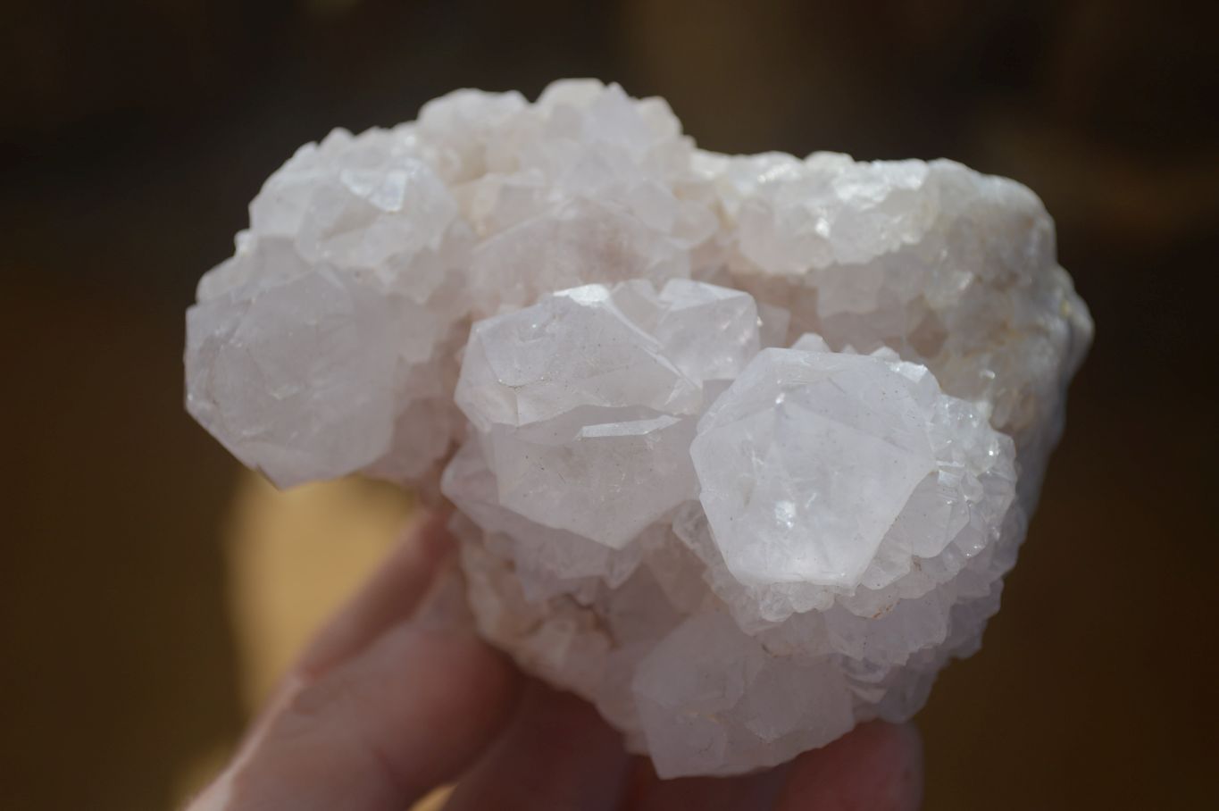 Natural White Cactus Flower Spirit Quartz Specimens x 6 From Boekenhouthoek, South Africa - Toprock Gemstones and Minerals 