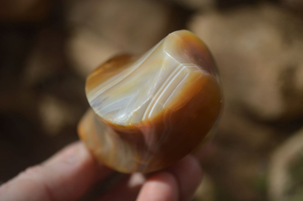 Polished Banded Agate Flames  x 6 From West Coast, Madagascar - Toprock Gemstones and Minerals 