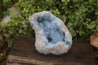 Natural Blue Celestite Geode Specimen  x 1 From Sakoany, Madagascar - Toprock Gemstones and Minerals 