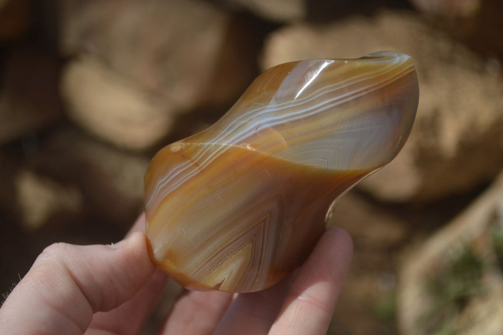 Polished Banded Agate Flames  x 6 From West Coast, Madagascar - Toprock Gemstones and Minerals 