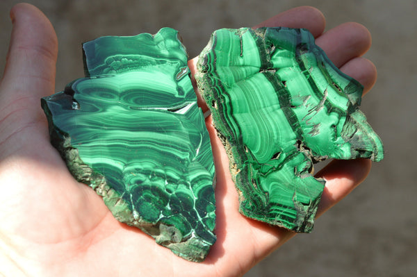 Polished Malachite Slices With Gorgeous Flower / Banding Patterns  x 12 From Congo - TopRock