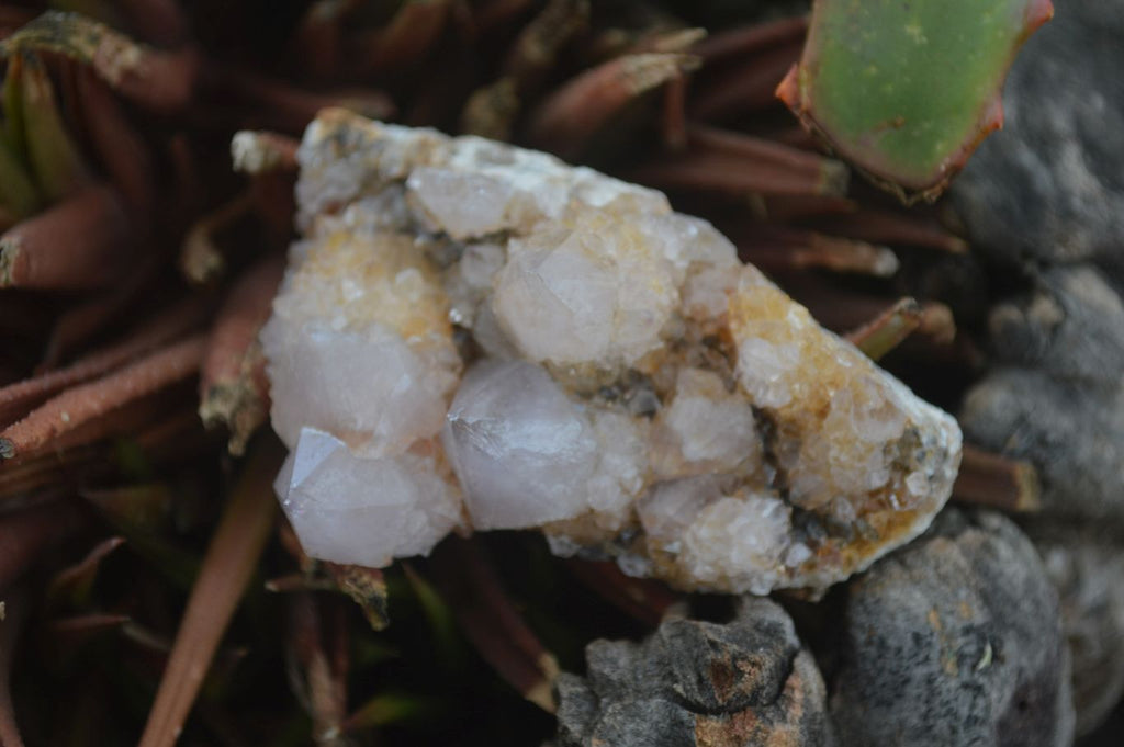 Natural Small Spirit Ametrine Quartz Clusters  x 12 From Boekenhouthoek, South Africa - Toprock Gemstones and Minerals 