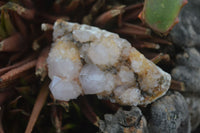 Natural Small Spirit Ametrine Quartz Clusters  x 12 From Boekenhouthoek, South Africa - Toprock Gemstones and Minerals 