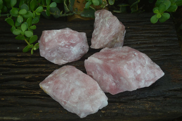 Natural Rough Pink Rose Quartz Specimens  x 4 From Namibia - Toprock Gemstones and Minerals 