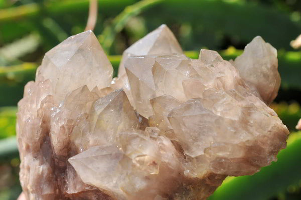 Natural Smokey Phantom Quartz Clusters x 6 From Lwena, Congo - TopRock