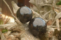 Polished Rare Sparkling Blue Water (Iolite) Sapphire Spheres  x 6 From Madagascar - TopRock