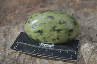 Polished Spotted Leopard Stone Free Forms  x 4 From Zimbabwe - Toprock Gemstones and Minerals 