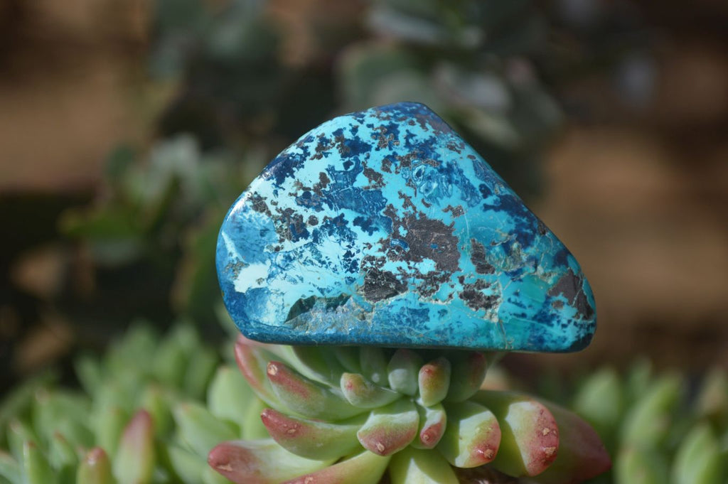 Polished Blue Shattuckite Free Forms  x 6 From Kaokoveld, Namibia - Toprock Gemstones and Minerals 