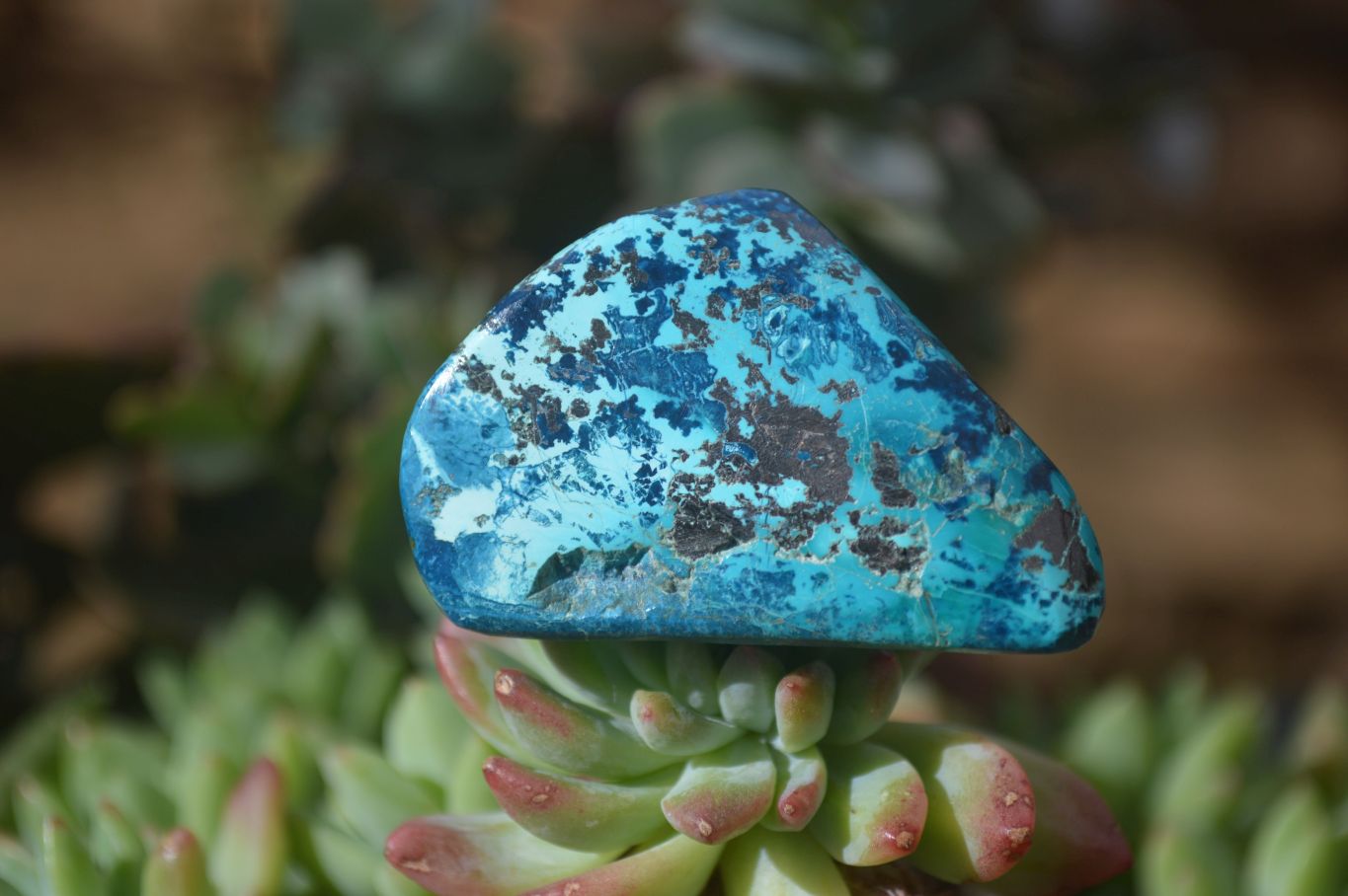 Polished Blue Shattuckite Free Forms  x 6 From Kaokoveld, Namibia - Toprock Gemstones and Minerals 