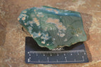Polished On One Side Emerald Mtorolite Plates x 6 From Mutorashanga, Zimbabwe - Toprock Gemstones and Minerals 