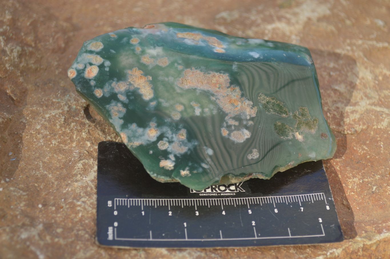 Polished On One Side Emerald Mtorolite Plates x 6 From Mutorashanga, Zimbabwe - Toprock Gemstones and Minerals 