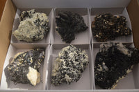 Natural Schorl Black Tourmaline Specimens x 6 From Erongo, Namibia - Toprock Gemstones and Minerals 