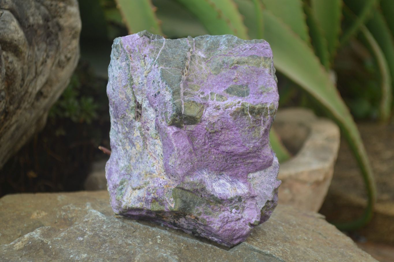 Natural Rough Stichtite & Serpentine Specimens x 4 From Barberton, South Africa - Toprock Gemstones and Minerals 