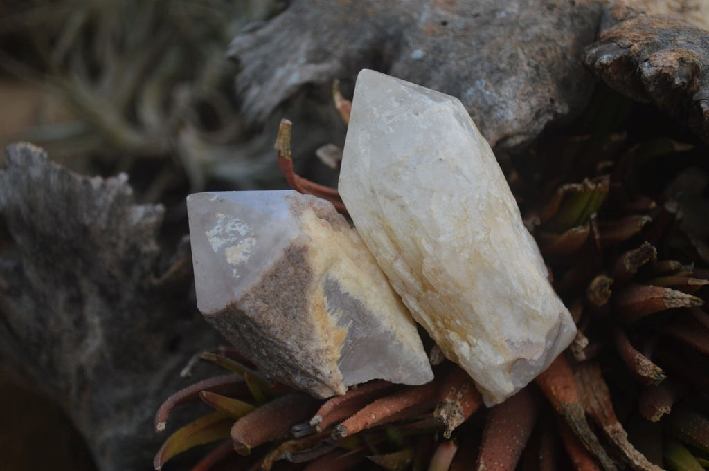 Natural Pineapple Candle Quartz Crystals  x 35 From Antsirabe, Madagascar - Toprock Gemstones and Minerals 