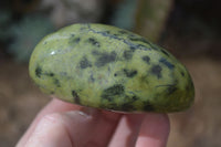 Polished Spotted Leopard Stone Free Forms  x 4 From Zimbabwe - Toprock Gemstones and Minerals 