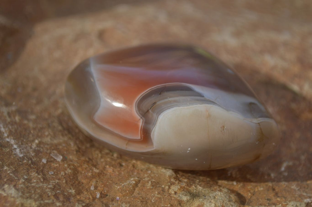 Polished Red Sache River Agate Nodules x 12 From Sashe River, Zimbabwe - Toprock Gemstones and Minerals 