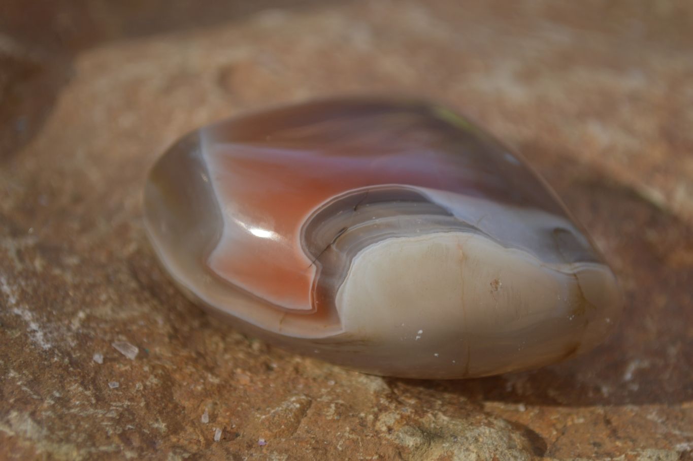 Polished Red Sache River Agate Nodules x 12 From Sashe River, Zimbabwe - Toprock Gemstones and Minerals 