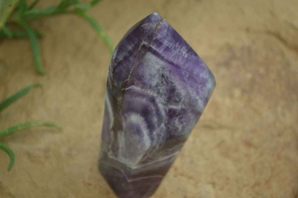 Polished Chevron Amethyst Points  x 2 From Zambia - Toprock Gemstones and Minerals 