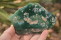 Polished On One Side Emerald Mtorolite Plates x 6 From Mutorashanga, Zimbabwe - Toprock Gemstones and Minerals 