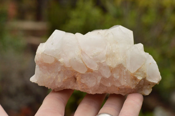 Natural Affordable White Quartz Clusters x 5 From Madagascar - TopRock