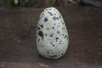 Polished Spotted Leopard Stone Free Forms  x 4 From Zimbabwe - Toprock Gemstones and Minerals 