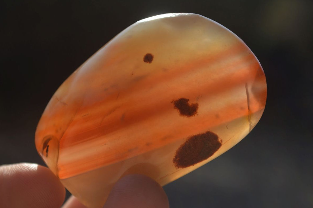 Polished Red Shache River Agate Nodules x 12 From Shashe River, Zimbab ...