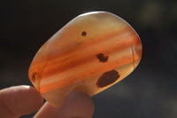 Polished Red Sache River Agate Nodules x 12 From Sashe River, Zimbabwe - Toprock Gemstones and Minerals 