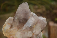 Natural Red Hematoid Quartz Clusters x 2 From Karoi, Zimbabwe - Toprock Gemstones and Minerals 